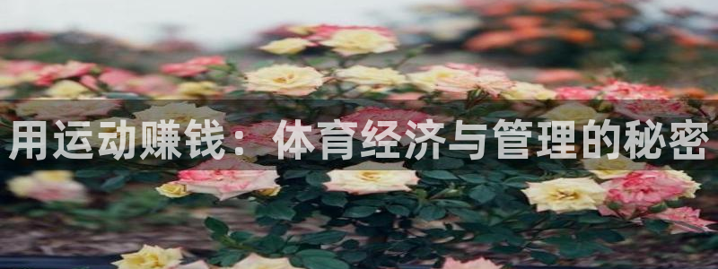 必一体育运动app