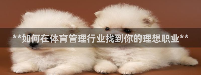 必一体育运动官网：*