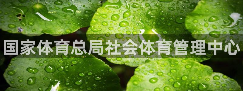 必一体育bsport下载