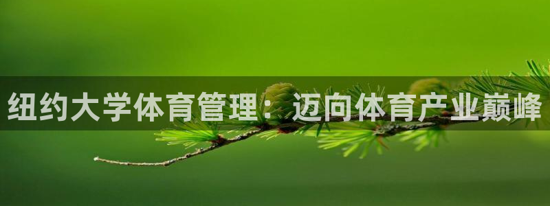 必一体育网页登陆