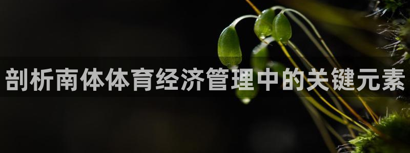 必一运动sport网页版