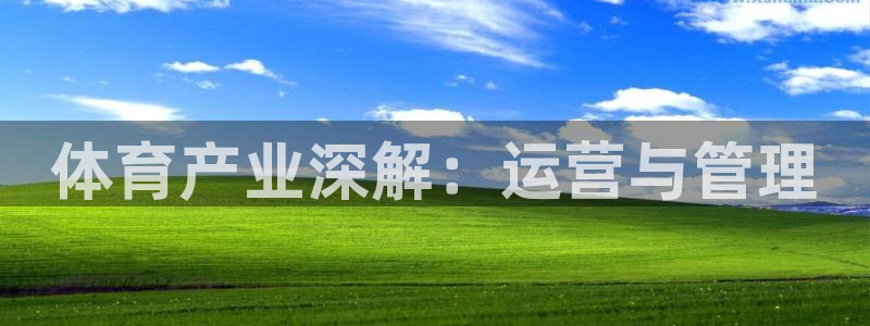 必一体育sport：