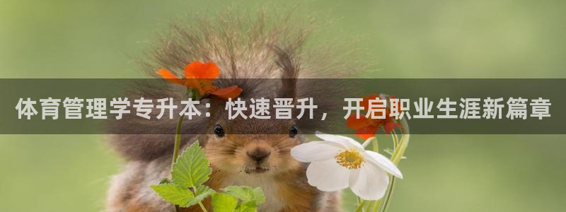 必一体育登录APP下载
