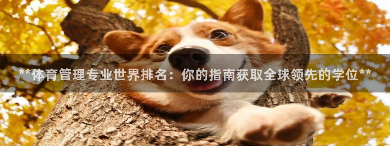 必一体育sport网