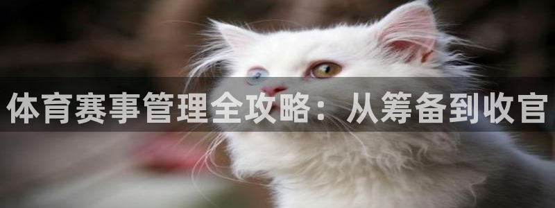 必一体育app下载