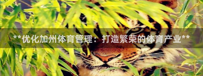 必一体育登陆：**优