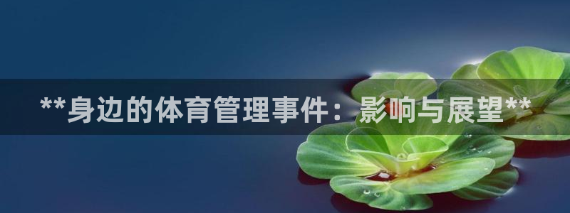 必一体育app下载最