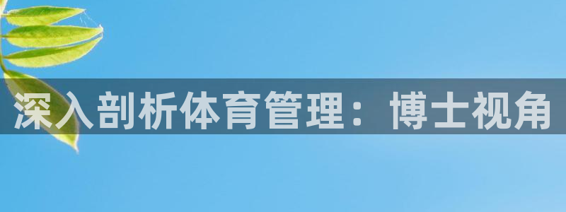 必一运动 b 体育素描版