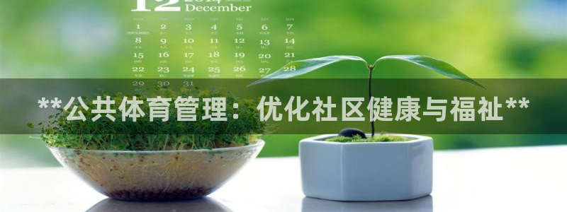 必一体育下载意思：*