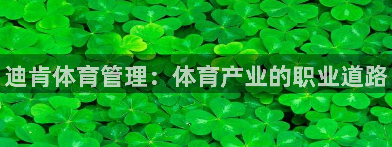 必一体育app下载装机吧