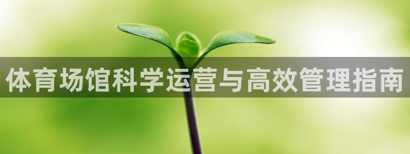必一体育下载登入