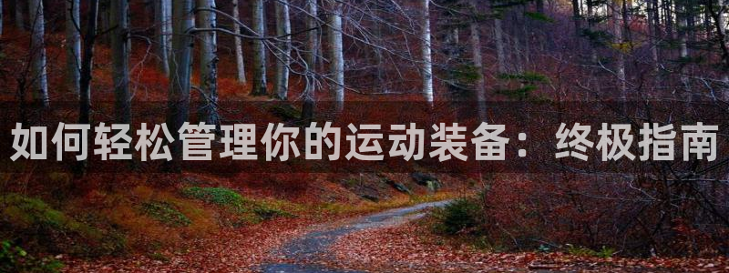 必一体育官方下载入口