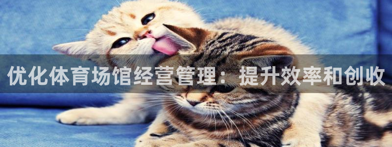 必一运动体育：优化体