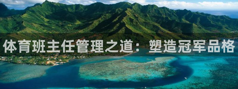必一体育电子app