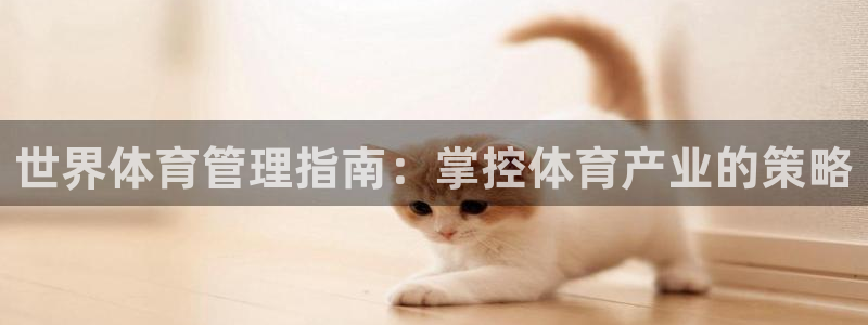 必一体育最新官网入口