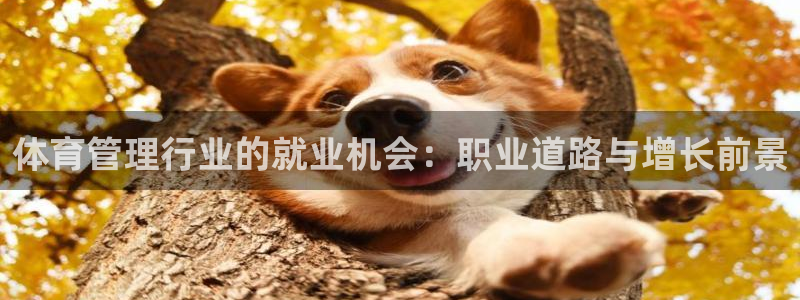 必一体育运动app：