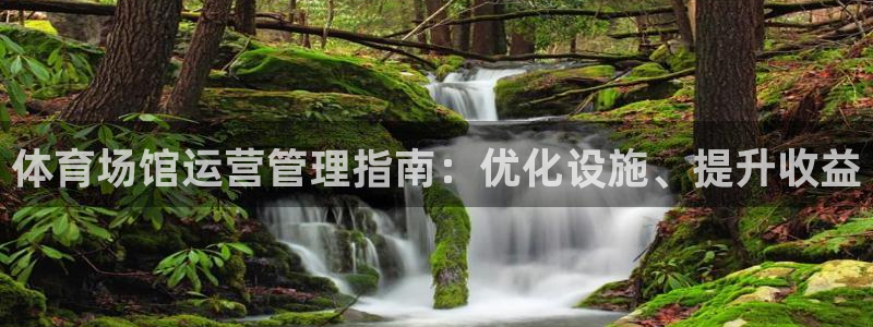 必一体育官方下载
