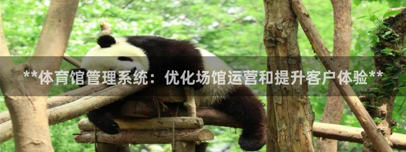 必一体育官方网站入口