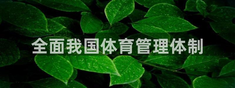 必一运动·(b-sp