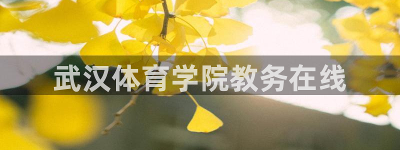必一运动官网装机吧