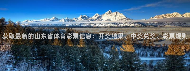 必一体育官方app下