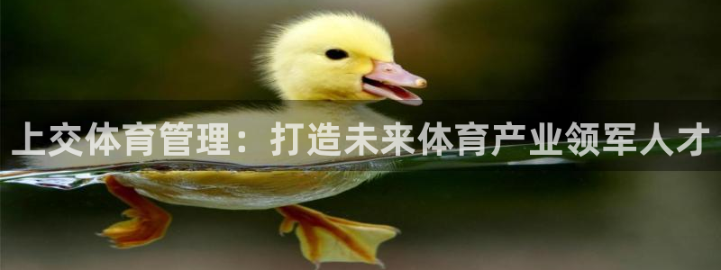 必一体育网页登陆：上