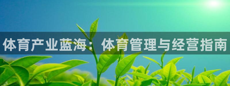 必一体育秀给网