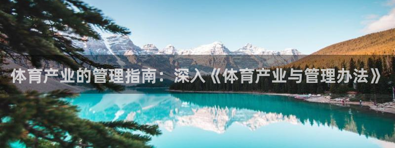 b体育官网下载入口app必一