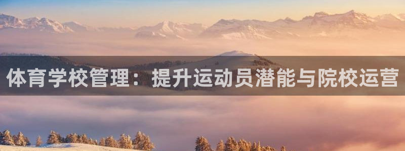 必一体育sport官方网站