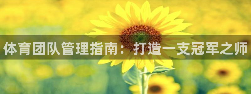 必一体育验证码：体育