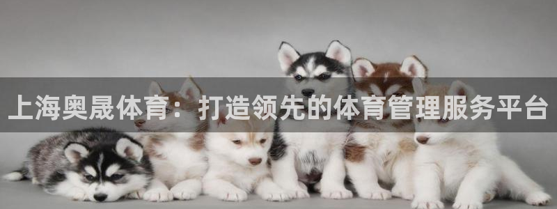 必一体育app下载