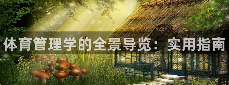 必一运动aop：体育