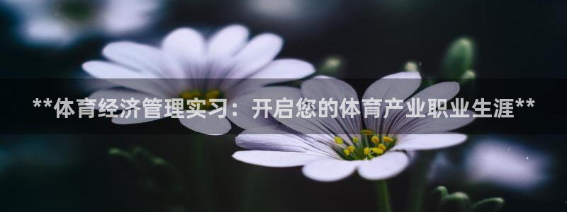必一体育电子app：