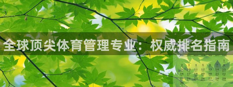 必一体育怎么下载
