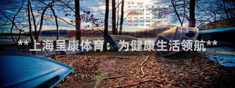 必一体育bsport下载