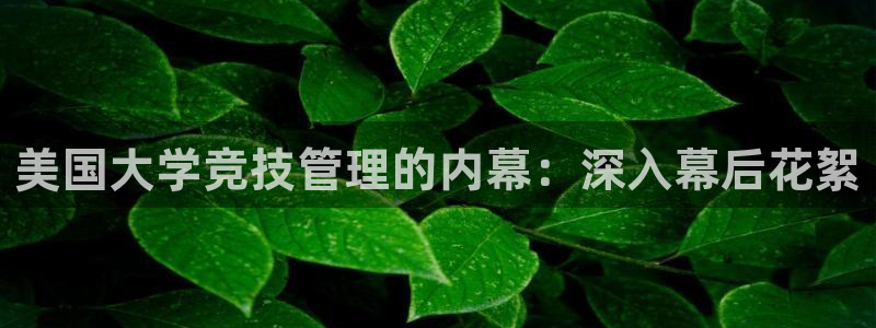 必一体育网站