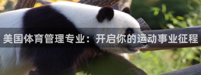 必一体育