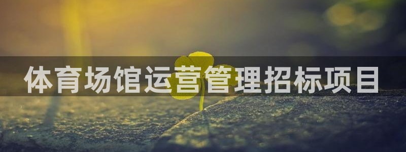必一体育bsport