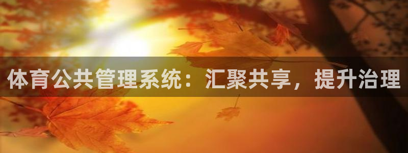 必一体育下载app下载