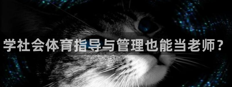 必一运动体育官网下载