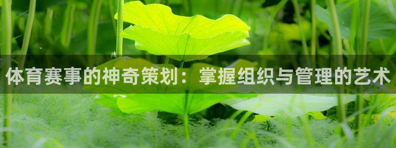 必一体育官网网站：体