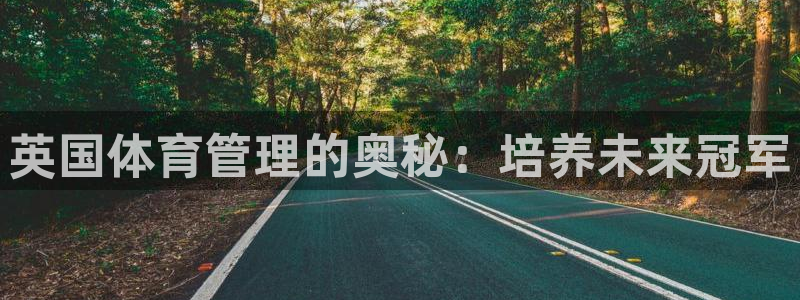 必一体育下载登入：英