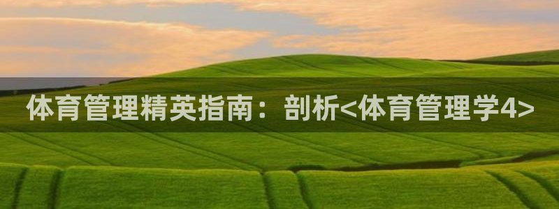 必一体育服下载最新版本更新内容