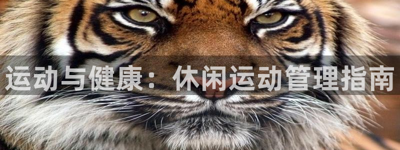 必一体育手机下载：运