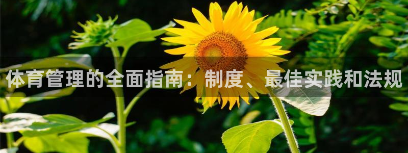 必一体育
