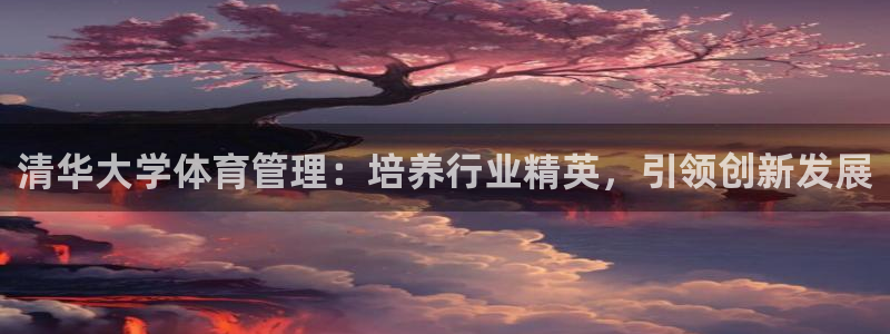 必一体育登录入口APP