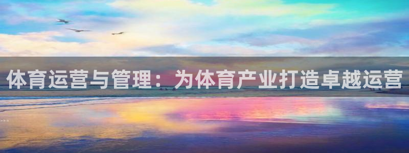 必一体育网页登录版官