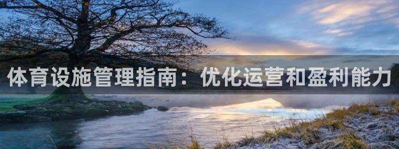 必一体育在哪下：体育