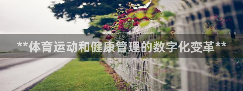 必一体育在线下载