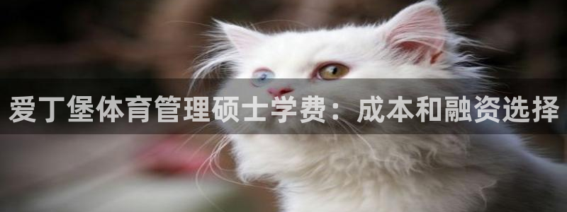 必一体育下载意思